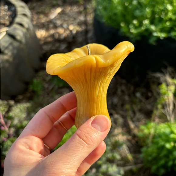 The Wildflower Company Other - Homemade All-Natural Toxic Free 100% Beeswax Mushroom "Chanterelle" Candle